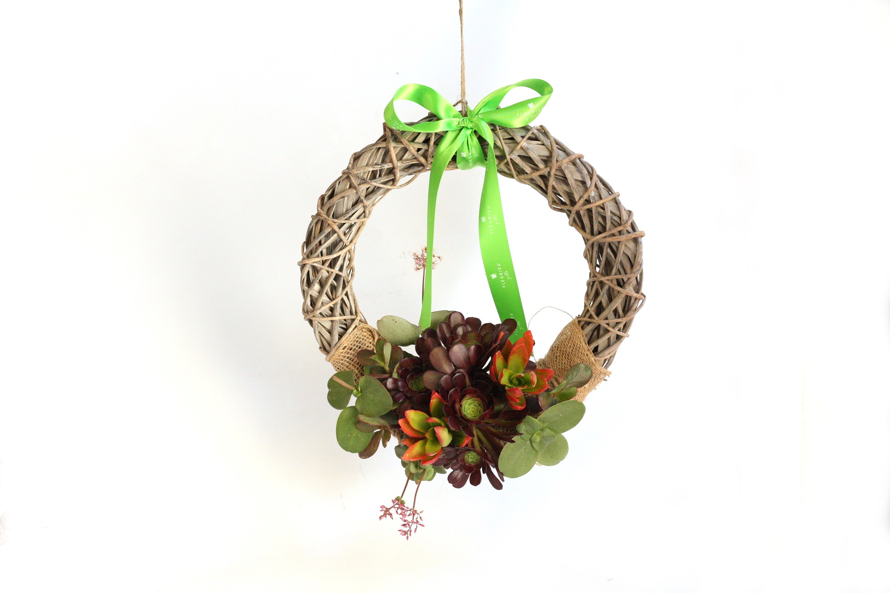 Living Succulent Wreath