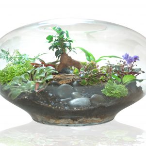 Giant imaginarium terrarium by Fleurieu Gifts