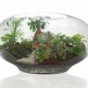 Giant Imaginarium Terrarium by Fleurieu Gifts.