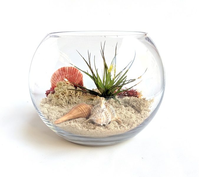 Terrariums, plants and fairy gardens in Adelaide, Australia