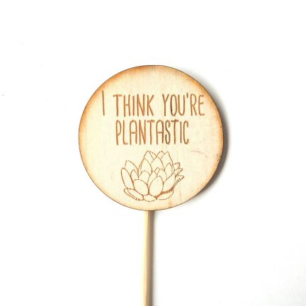 timber plant marker, plant spike, I think you're plantastic.
