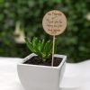 Personalised 'Thank you Teacher' plant spike and succulent in ceramic pot