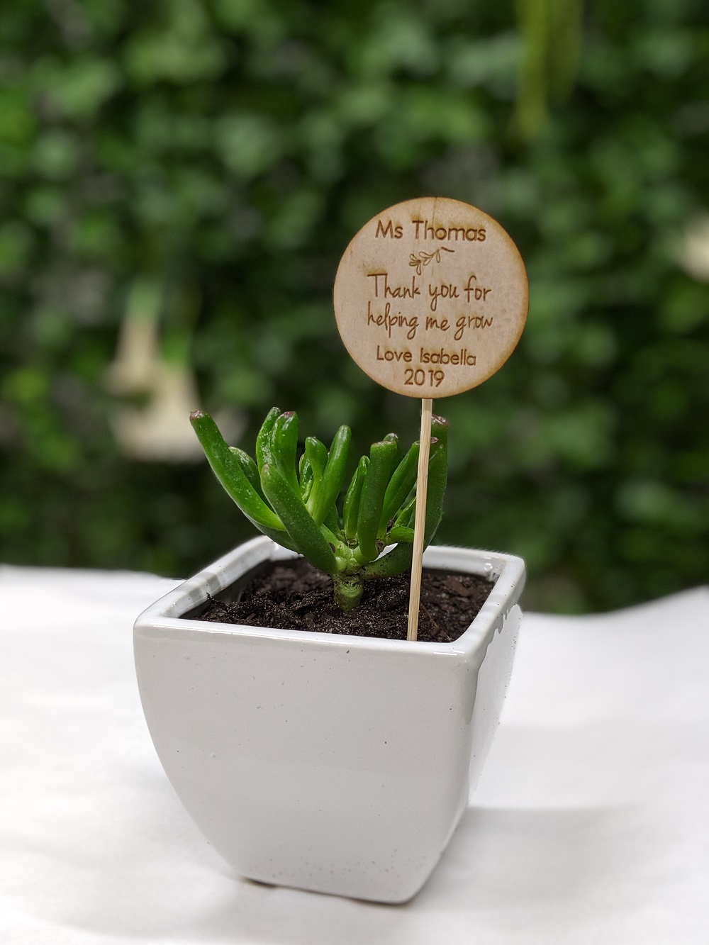 Personalised 'Thank you Teacher' plant spike and succulent in ceramic pot