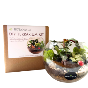 DIY Terrarium Kit for Kids With Plant