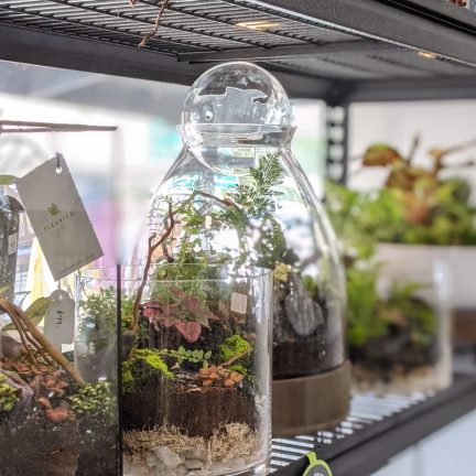 Hand-blown Glass Stopper Terrarium Lid