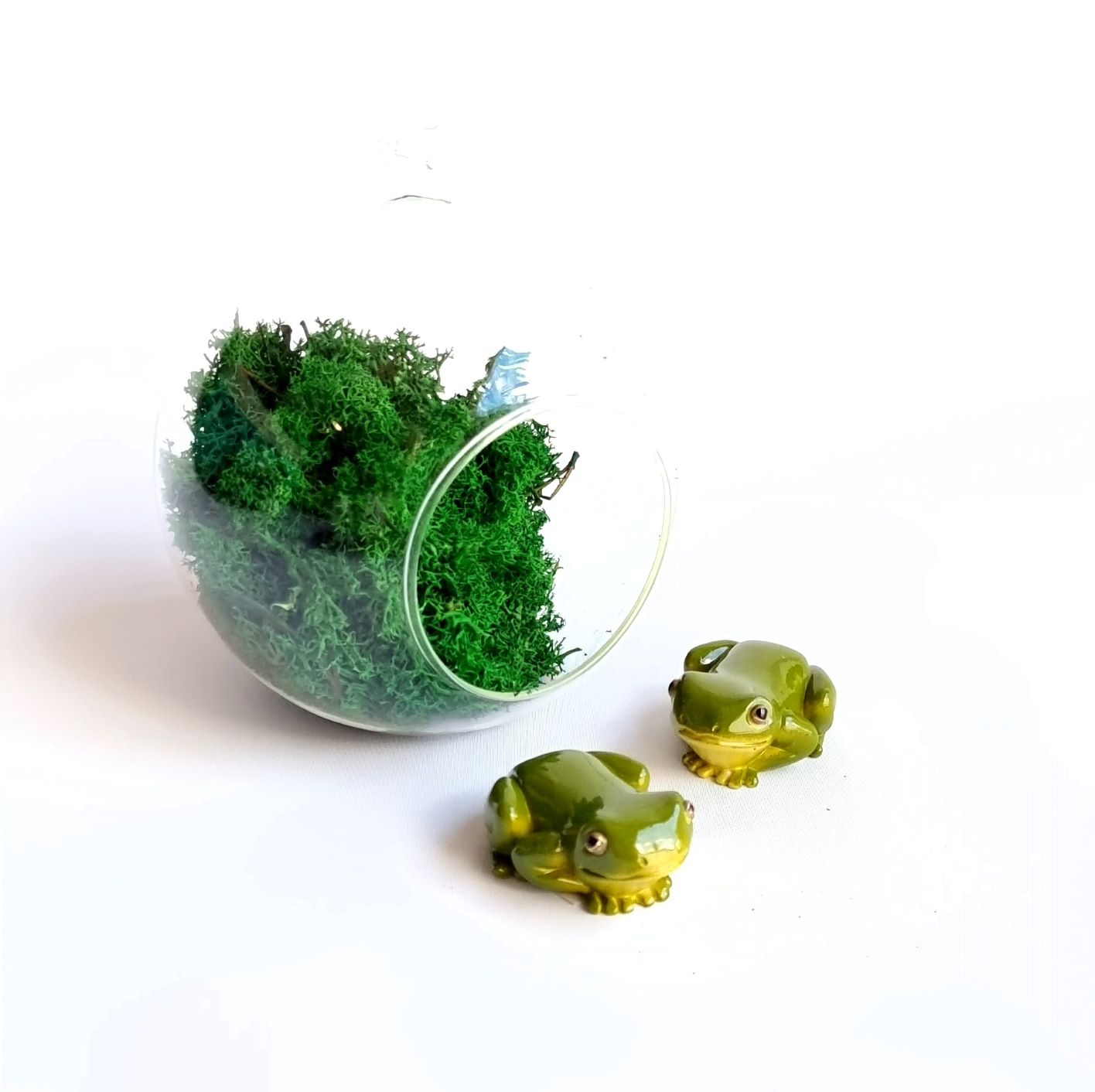 Green Tree Frog figurine  Botanista: Home of Fleurieu Gifts