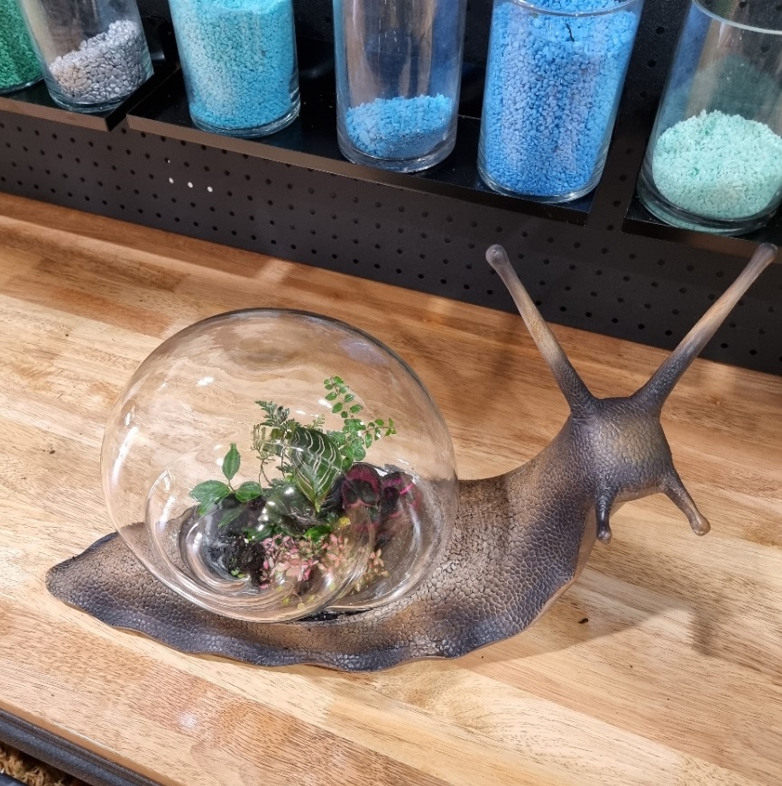 snail shaped terrarium