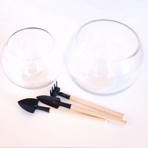 Glass fishbowls for terrariums