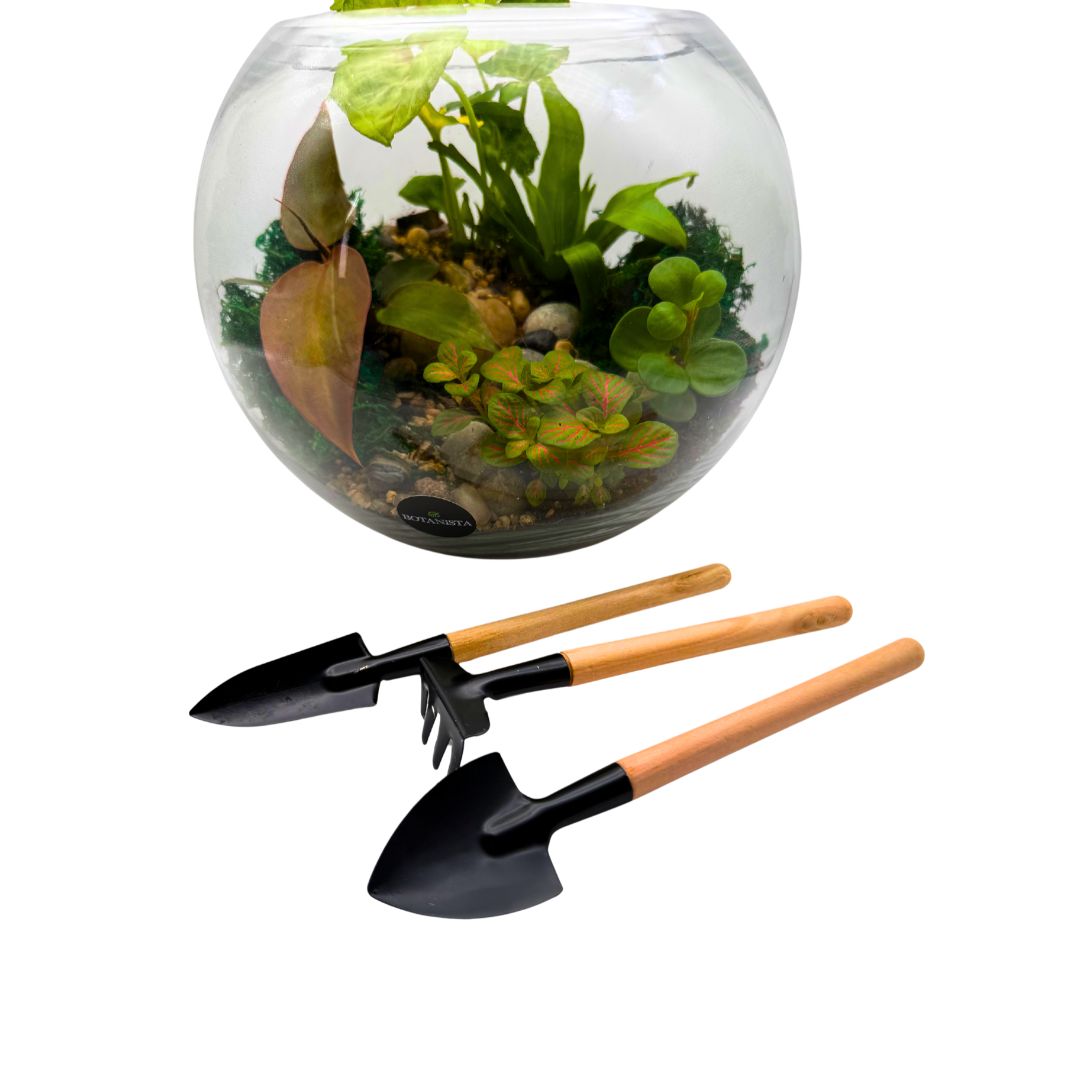 Terrarium Tools Set of 3