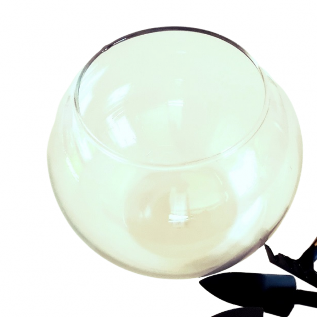 Terrarium Supplies Botanista Home of Fleurieu Gifts