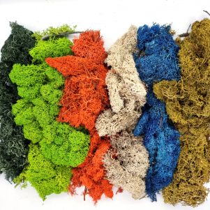 Preserved reindeer moss, loose, in various colours