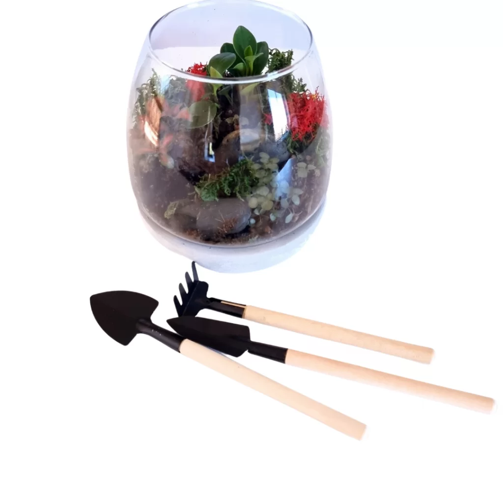 Terrarium Supplies Botanista Home of Fleurieu Gifts