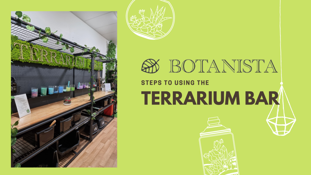 Terrarium Bar