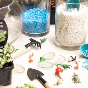 Terrarium Supplies