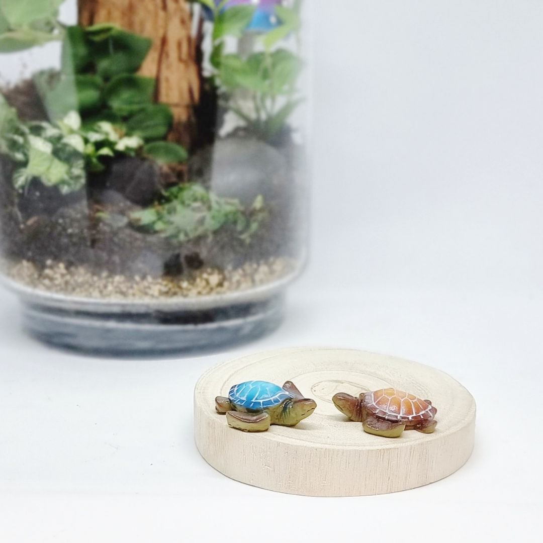 This is a product photo of two miniature turtles