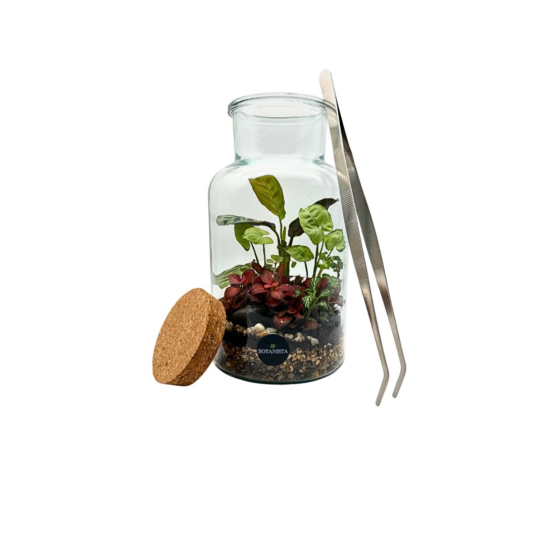 Terrarium Curved Tweezers