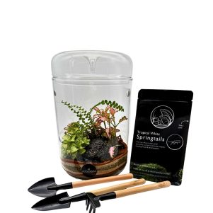 Terrarium Care