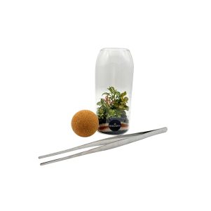 Terrarium Straight Tweezers