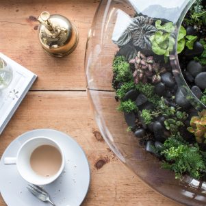Terrariums for Click & Collect