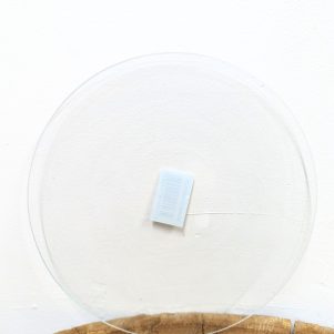 Glass Lid for Terrarium
